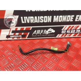 Cable de masse