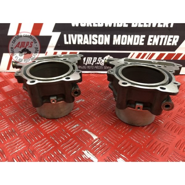 Cylindre avec pistons 