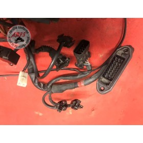 Faisceau électrique avant Ducati ST2 1997 à 2003