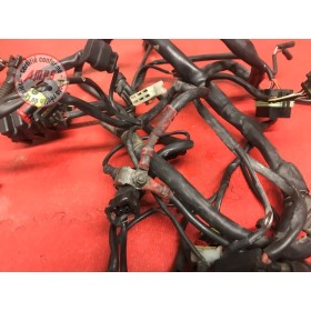 Faisceau électrique principale 