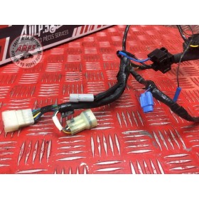 Faisceau électrique avant 