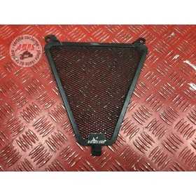 Grille de radiateur 