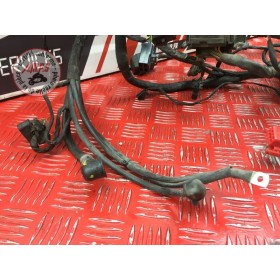 Faisceau électrique principale 