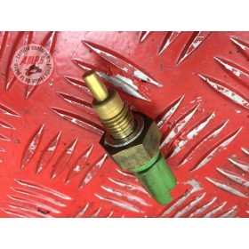 Sonde de température d'eau 