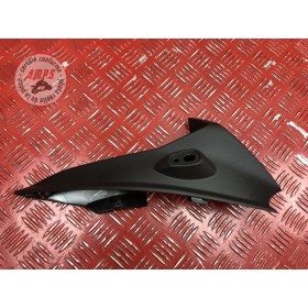 Cache sur flanc de carénage droit 