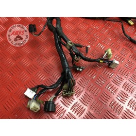 Faisceau électrique principale 