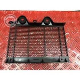Grille de radiateur 