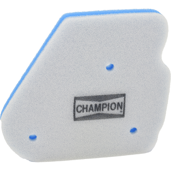 Champion Filtre Ã  air CAF5105DS 