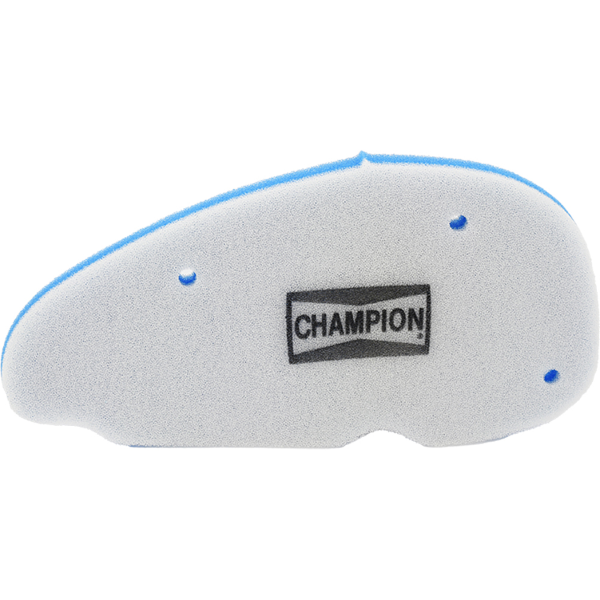 Champion Filtre Ã  air CAF5107DS 