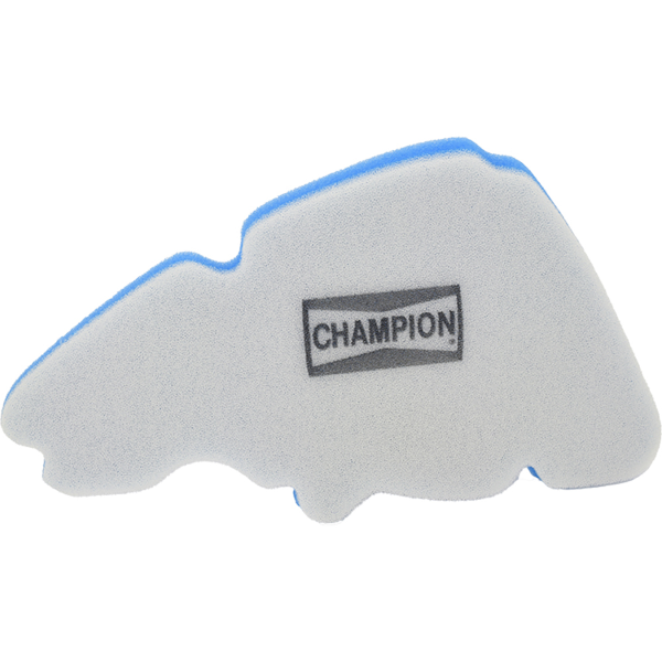 Champion Filtre Ã  air CAF4204DS 