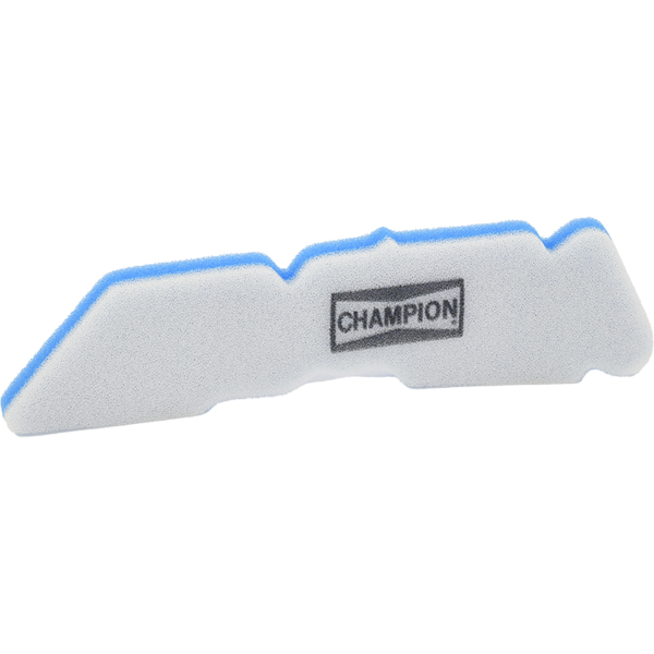 Champion Filtre Ã  air CAF4208DS 