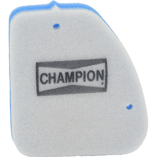 Champion Filtre Ã  air CAF4301DS 