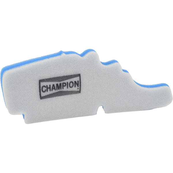 Champion Filtre Ã  air CAF4202DS 