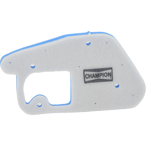 Champion Filtre Ã  air CAF3002DS 