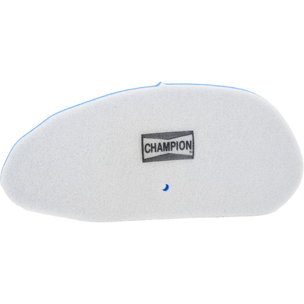 Champion Filtre Ã  air CAF3204DS 