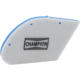 Champion Filtre à air CAF4009DS