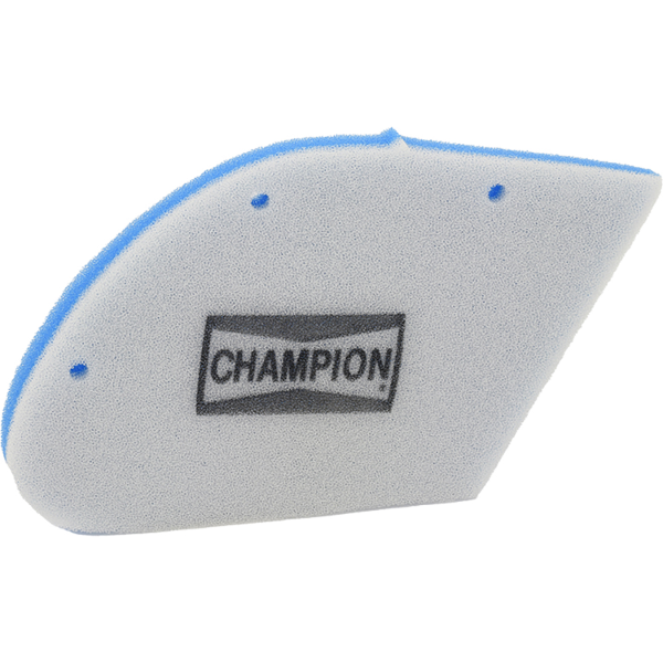 Champion Filtre Ã  air CAF4009DS 