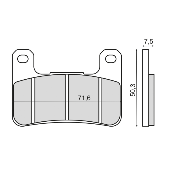 Plaquettes de Frein Organiques RMS Kawasaki Z1000 Abs 