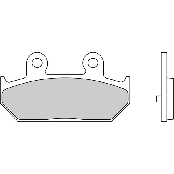 Plaquettes de frein Ferodo Eco Friction FDB2173EF 