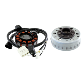 Volant moteur complet RMS Piaggio Liberty 125cc Ptt 2012