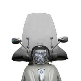 FACO Saute Vent Piaggio Beverly 300cc 2010/2020 23098