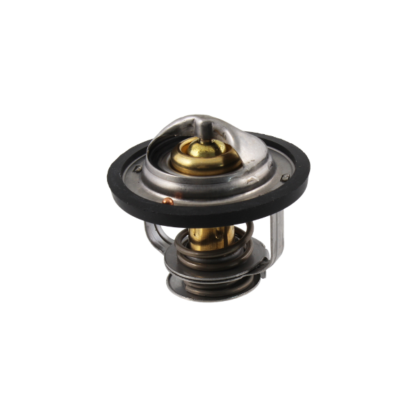 Huile de thermostat RMS Piaggio Porter 1.3 