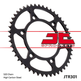Pignon arrière JT JTR301.39