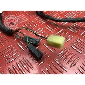 Faisceau électrique principale