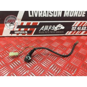 Cable de masse