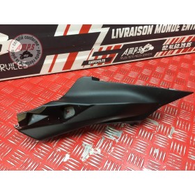 Ecope coque arrière gauche