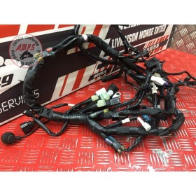 Faisceau électrique principale 