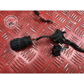 Faisceau électrique principale 