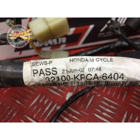 Faisceau électrique principale 