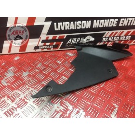 Cache sur flanc de carénage gauche 