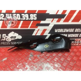 Coque arrière gauche 