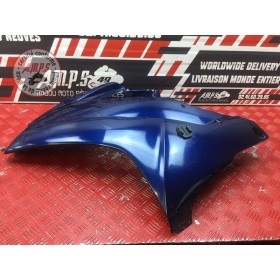 Flanc de carénage gauche 