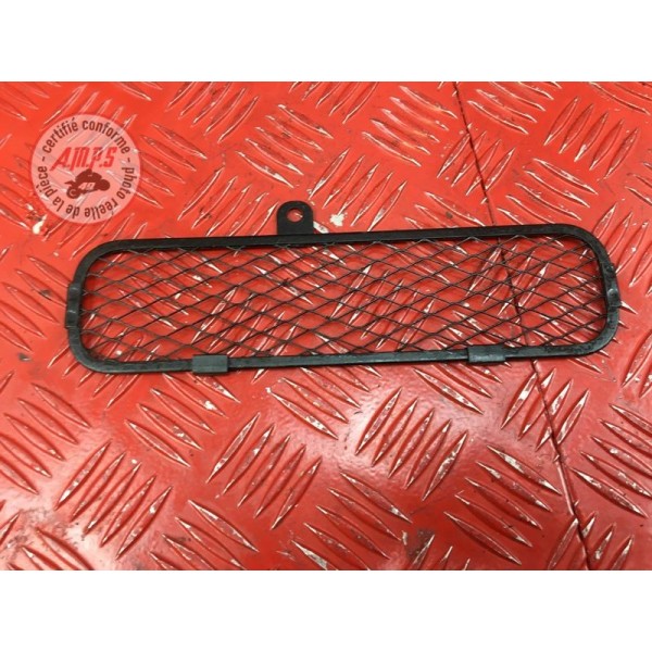 Grille de radiateur 