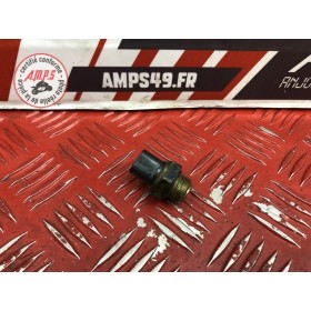 Sonde de température d'eau sur radiateur