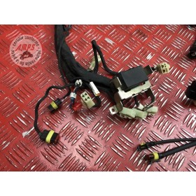 Faisceau électrique principale 