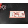 Boitier CDI ECU 