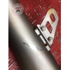 Ligne avec silencieux Akrapovic 