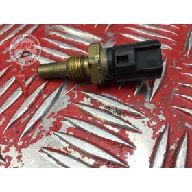 Sonde de température d'eau