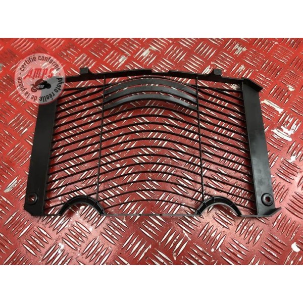 Grille de radiateur 