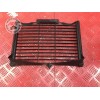 grille de radiateur 