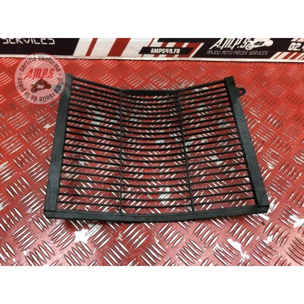 Grille de radiateur 