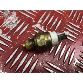 Sonde de température d'eau 