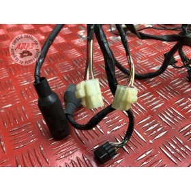 Faisceau électrique principale 
