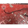 Cable de masse