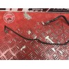 Cable de masse