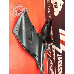 Flanc de carénage gauche 